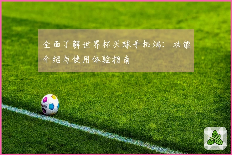 全面了解世界杯买球手机端：功能介绍与使用体验指南