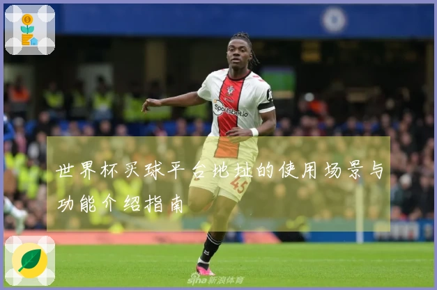 世界杯买球平台地址的使用场景与功能介绍指南