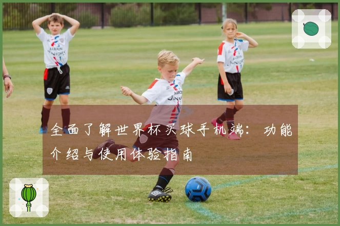 全面了解世界杯买球手机端：功能介绍与使用体验指南